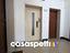 Immagine 7