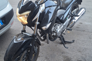 Suzuki Inazuma 250cc