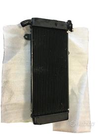 Radiatore Kawasaki Versys650 17/20
