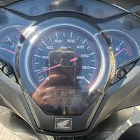 SH 300 Sport Abs 2018