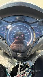 SH 300 Sport Abs 2018