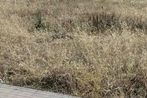 Terreni edificabili a Sarroch