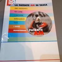 libro patente am