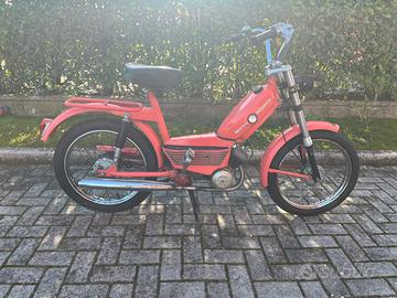 MOTO MORINI DOLLARO