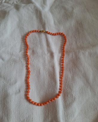 Ami il corallo, guarda che bella