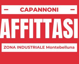 Capannoni