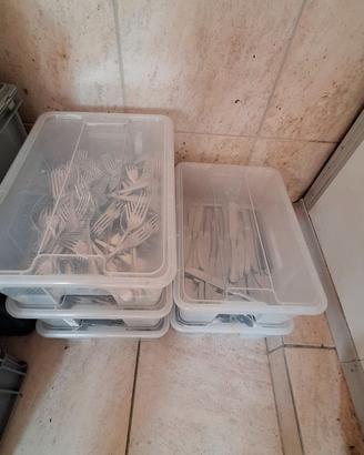 Posate acciaio inox