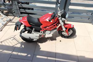 Moto Ducati