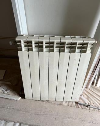 Radiatore 6 elementi