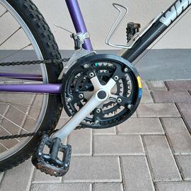 bicicletta wheeler