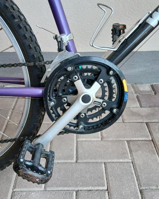 bicicletta wheeler