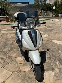 Berverly 300 tourer