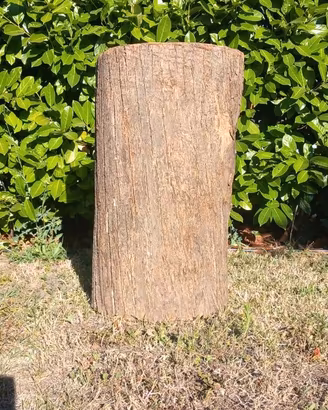 Tronco cavo per apicoltura ancestrale