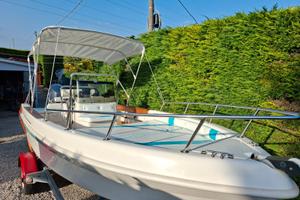 Saver 540  con motore Yamaha 80 cv e carrello