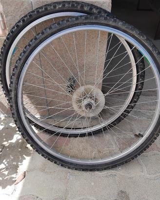 Coppia ruote Mountain bike 