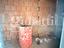 Immagine 26