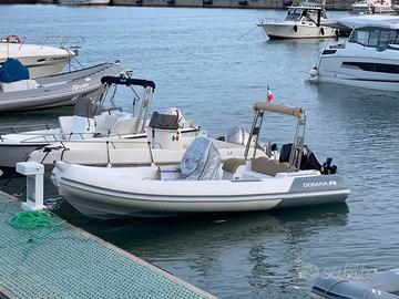 DOMAR F6 - 2022 - Mercury 40 cv - Carrello - Pari