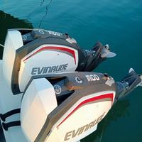 Coppia fuoribordo evinrude 300 g2