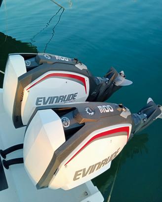 Coppia fuoribordo evinrude 300 g2