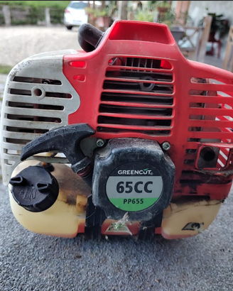 moto sega decespugliatore