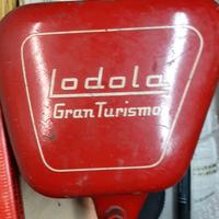lodola moto guzzi
