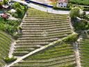 ter-residenziale-a-montelupo-albese