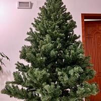 Albero di natale (altezza 250 cm)