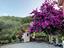 Immagine 28