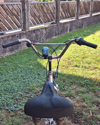 Triciclo per adulti Cervellin - Come nuovo