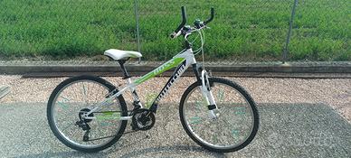 Bici Bottecchia ragazzo musura 24
