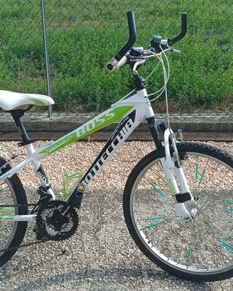 Bici Bottecchia ragazzo musura 24