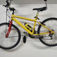 Bicicletta uomo/ragazzo