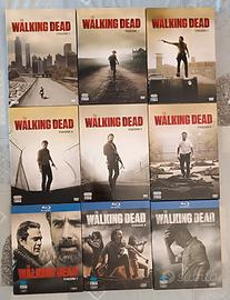 Lotto The Walking Dead Stagioni 1-9 DVD e Blu-ray