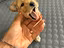 Immagine 4