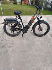 bicicletta elettrica 