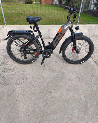 bicicletta elettrica 