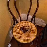 Sedie in paglia di Vienna