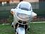 Immagine 1