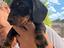 Immagine 1