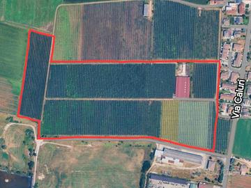 Terreno agricolo a Villafranca di Verona 