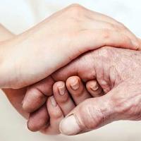 Oss assistenza commessa