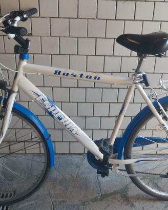 Bici da uomo ruote 28"