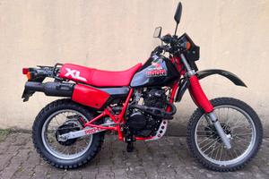 Honda XL600R 1986 - Restauro completo - FMI