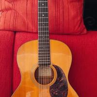 chitarra acustica Recording King