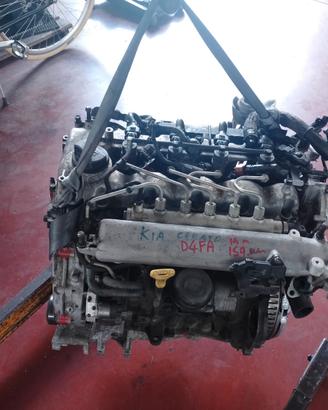 Motore D4FA