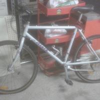 Biciclette MTB