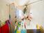 Immagine 19