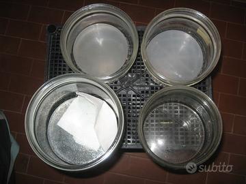 8 Albanelle x acciughe