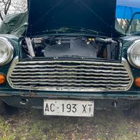 GRIGLIA MINI ROVER INNOCENTI AUSTIN