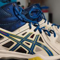 Scarpe pallavolo 